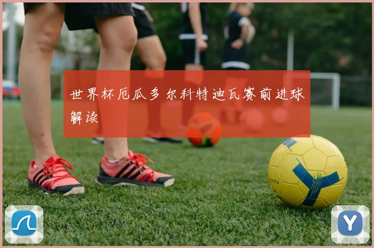 世界杯厄瓜多尔科特迪瓦赛前进球解读