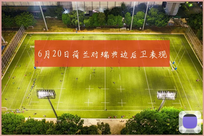 6月20日荷兰对瑞典边后卫表现